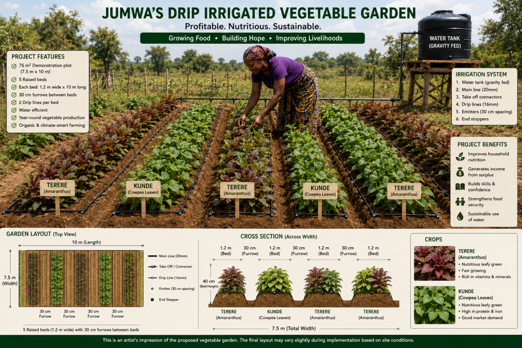 JUMWAS DREAM FARM LAYOUT 2