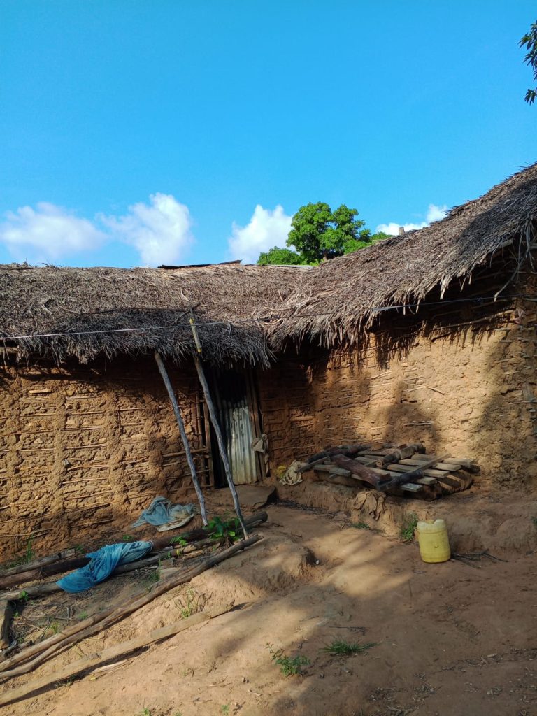 Nafisas home